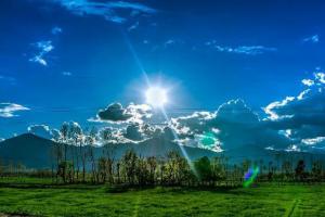 长大以后你的理想是什么？