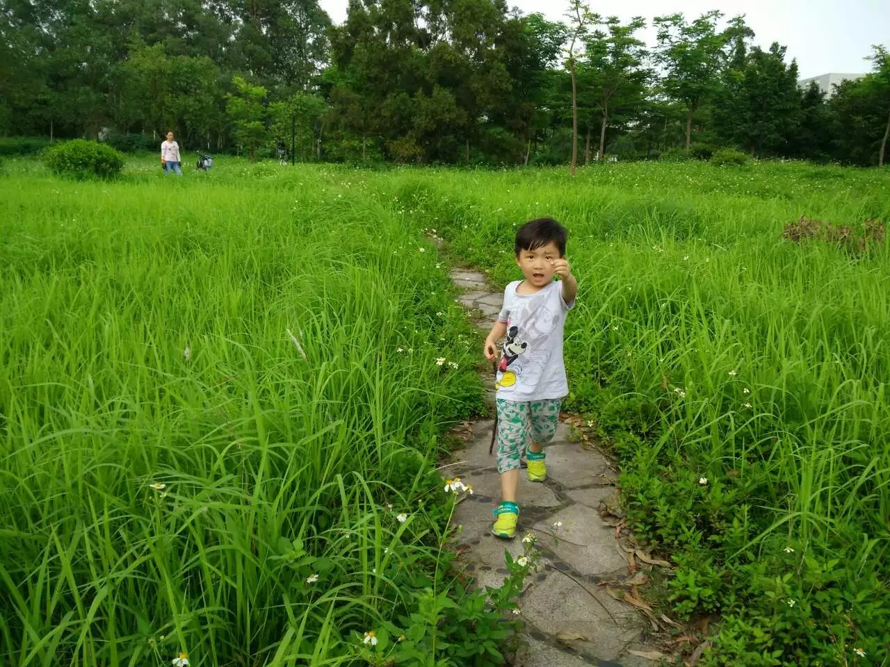 明心家信：勇敢一些吧，孩子！人生路上，爸爸愿意和你一起去探险