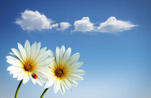 九条情感文案，听过云的诉说，看过天空的甜蜜，挥手告别过往