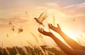 十三条情感文案，形容过往的遗憾，与生活重新携手的希望