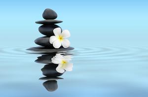 写给正处低谷的你：不畏浮云遮望眼，你的人生不止一个春天