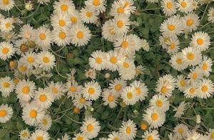 朋友不在多少，贵在真心