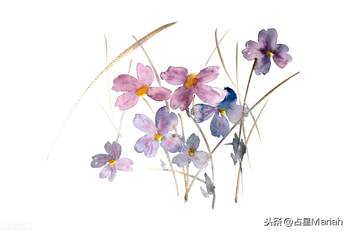 2020.10.12-10.18星座运势：摩羯、水瓶、双鱼