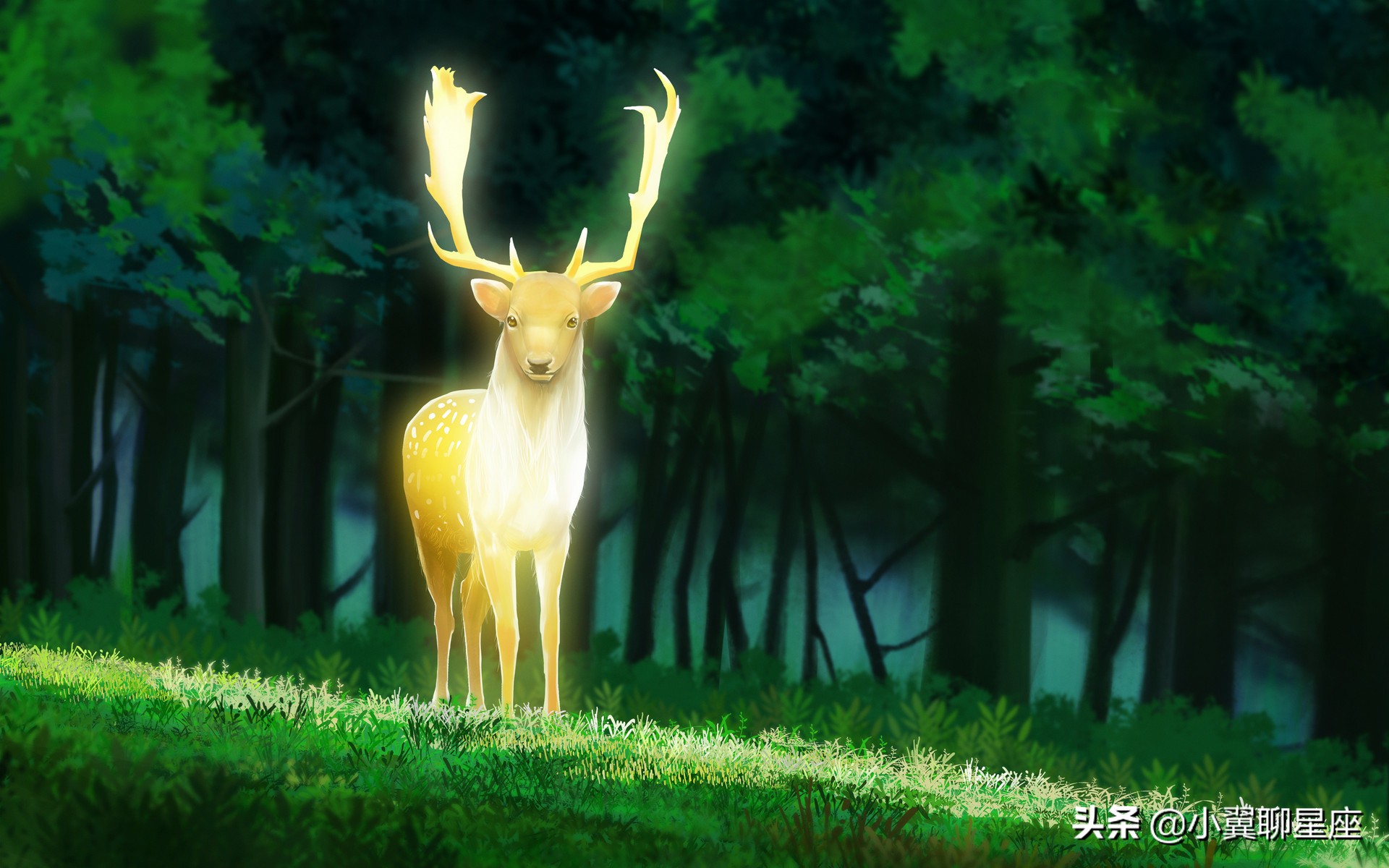 11月中旬星座运势解读，天秤座向好的方向发展，天蝎座开始发力