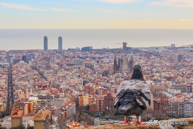 不与“烂人”计较，不与“烂事”纠缠，这几个星座过得舒坦