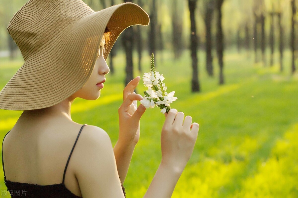 表述喜欢的温柔句子,我不太温柔,但是有一个词语叫尽我所能