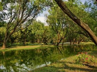 上海共青森林公园旅游攻略与景区介绍