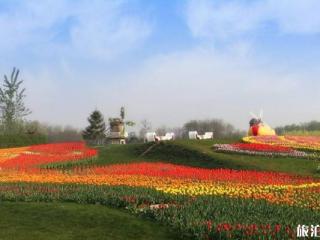 北京国际鲜花港旅游攻略与景区介绍