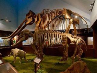 中国古动物馆旅游攻略与景区介绍