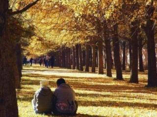 为什么那么多男人出轨后却不愿离婚 有这几种特征的男人出轨了还会再回头