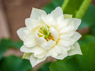 安静的人为什么吸引人 安静的女人为什么吸引人