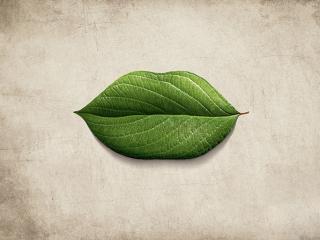 情感冷漠症表现 你对情感冷漠症有多严重