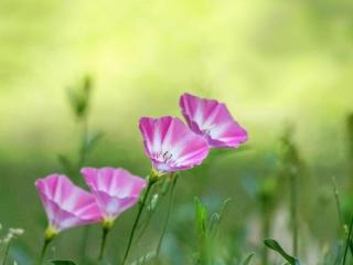 未来老婆的一份信，写给未来老婆的一封信