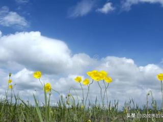 为什么出轨会找熟人，为什么喜欢找熟人