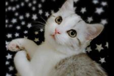 抖音甜甜的恋爱文案，抖音甜甜的晚安文案