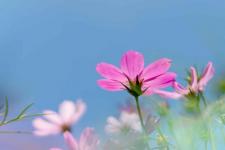 男朋友轻易说分手代表了什么，男朋友主动提分手