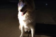 老婆住娘家不回家咋弄，老婆不回家的原因值得思考