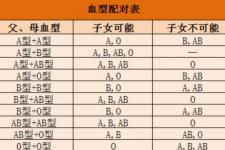 老公用他父母发誓没出轨，妻子发誓没有出轨