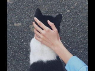 测试温柔程度 测另一半对你的重视程度