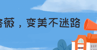 女人一种大气的感觉 为什么睿智的女人更厉害