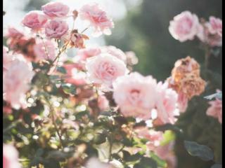 表面随和但和人有距离感 实则有距离感的星座