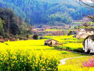 什么样的女人只可远观 只可远观不可亵玩的三大星座女神
