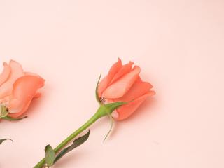 水瓶女理性强大 最冷静理性的4星座女