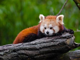 男生说你大方是啥意思 10个男生爱你的表现