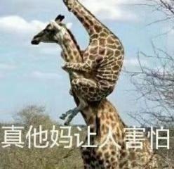 情人节送女朋友 这个见不到的情人节