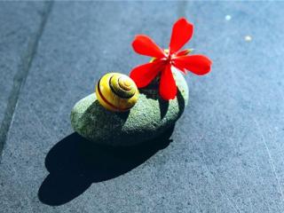 情感经典语录 朋友圈很经典的情感语录