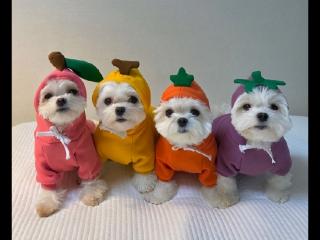 发什么消息撩男朋友 可以撩到男朋友的甜甜情话