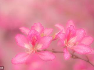 男朋友过生日该送什么 男友过生日大家都送啥