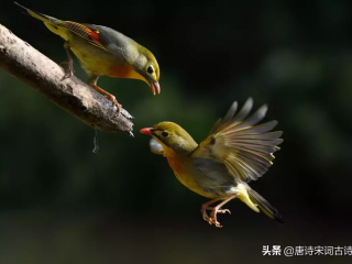 相思短信 借以表达自己的相思