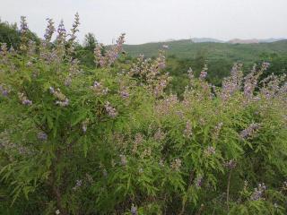 怎么哄女孩子 惹女孩子生气了怎么哄