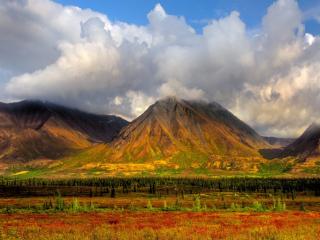 说说分手后不回头，再爱也不回头的星座