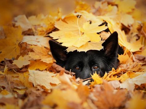 其实不用去表白，女生有这五个动作，就是在明确拒绝你了