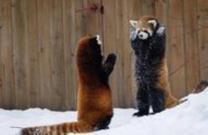 圈子太小该怎么找对象，社交圈子小的人如何脱单