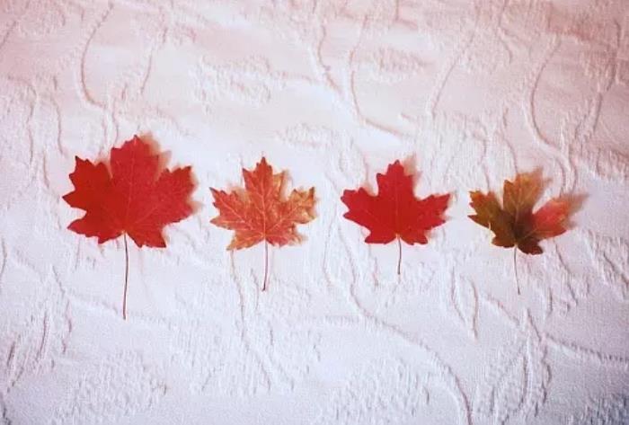 男人说“我想你了”，聪明的女人这样回复，轻松拴住男人的心