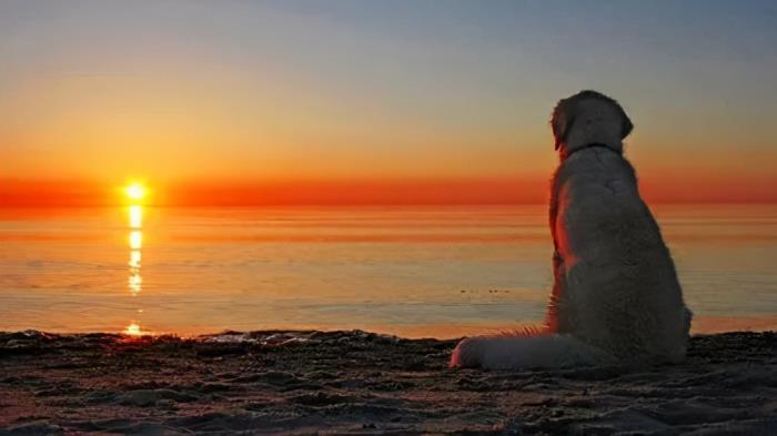 过来人呕心建议：当你婚姻破碎了想要修复，这3点能帮你挽回老公