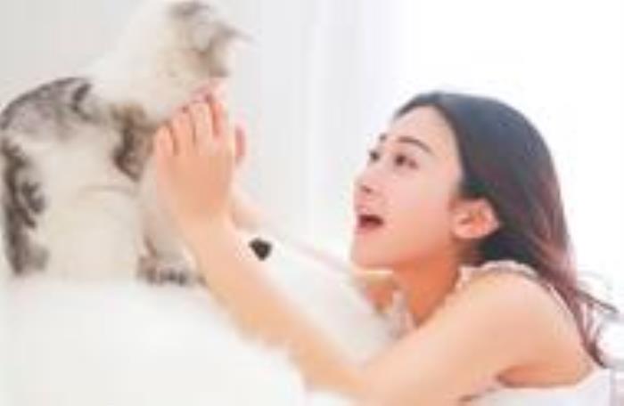 恋爱三个月和恋爱一年的区别（恋爱三个月和恋爱一年有什么区别）