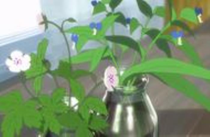 前任回头找你代表什么，深爱过的前任回头找你