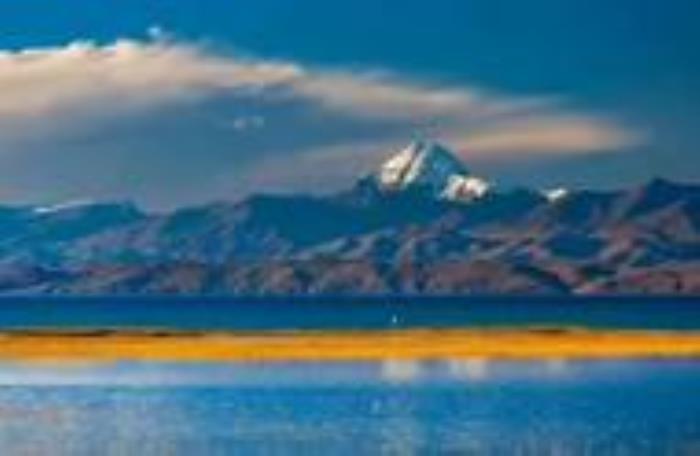 不想结婚怎么办（如果你此生选择不结婚）