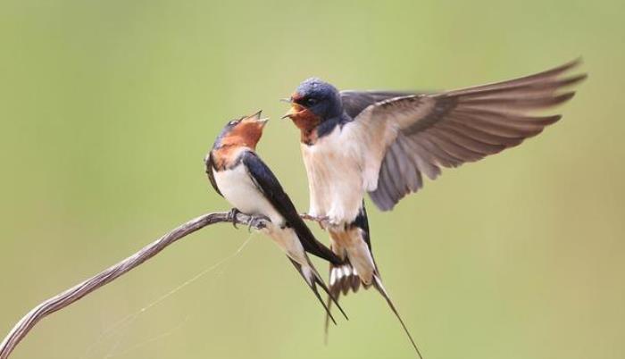 婚后老婆拜金怎么办（才发现娶了个拜金女）