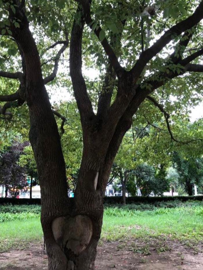 单位最聪明的是不站队（不站队是最好的站队）