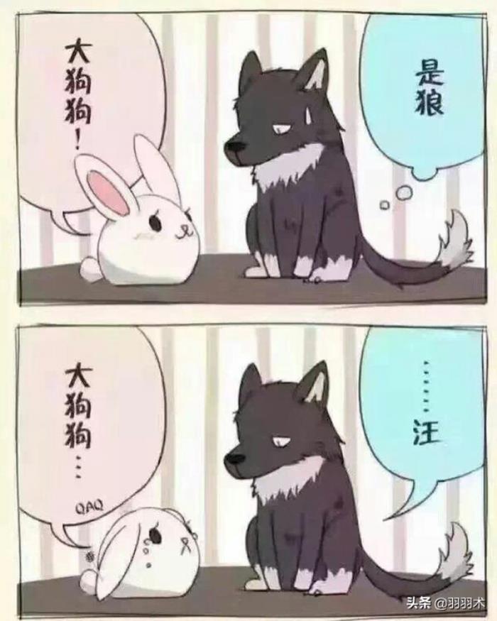 小狼狗男生是什么样子，小狼狗和小奶狗分别指什么