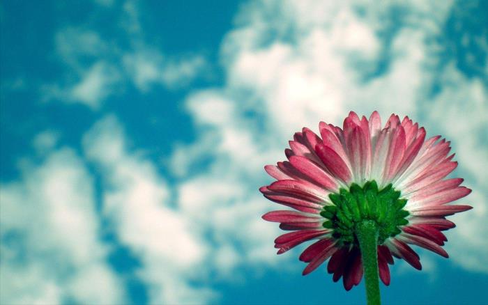 如何让男朋友越来越在意你，让男人越来越在乎你的方式