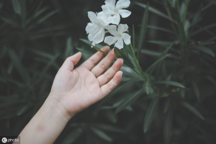 男人坚决不复婚的原因（为什么离过婚的男人）