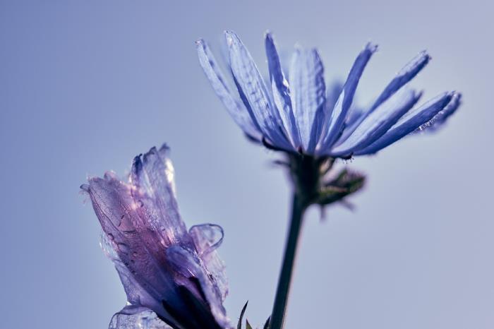男朋友不说话怎么办，当男人不愿意说话的时候