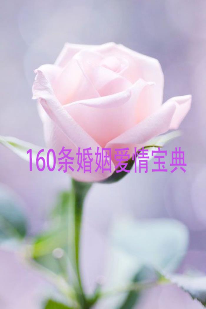 恋爱宝典1000条（160条恋爱潜规则宝典）