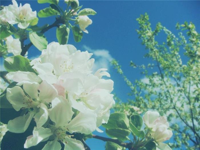 会哭的扎心语录（耐人回味的20个情感语录）